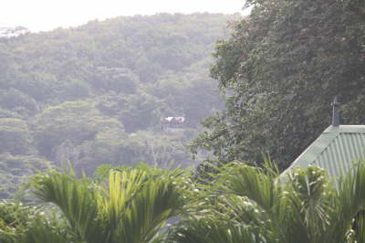 2010 Seychellen 044