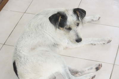 2010 Seychellen 052