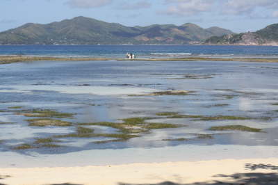 2010 Seychellen 088