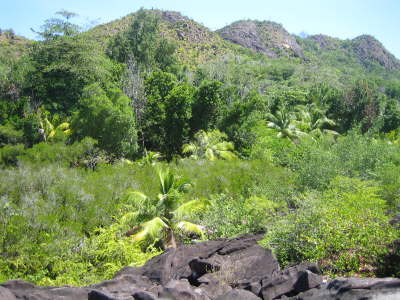 2010 Seychellen 1009