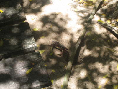 2010 Seychellen 1014