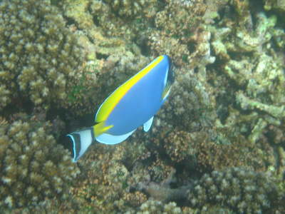 2010 Seychellen 1085