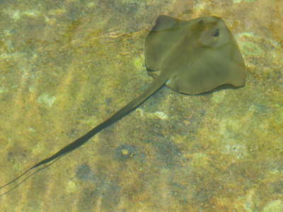 2010 Seychellen 1375