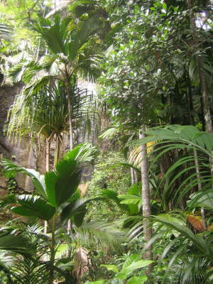 2010 Seychellen 1398