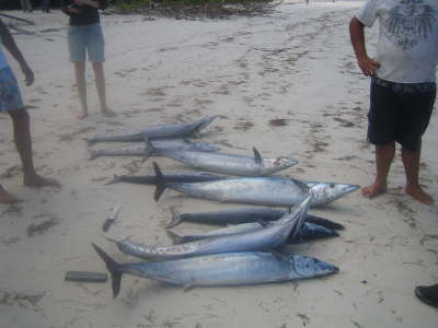 2010 Seychellen 1532