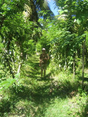 2010 Seychellen 608