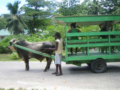 2010 Seychellen 933