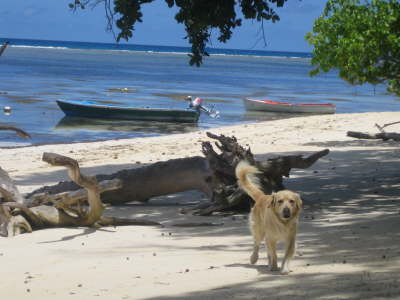 2010 Seychellen 951